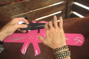 Bev Pink Back Taping in Progress 3