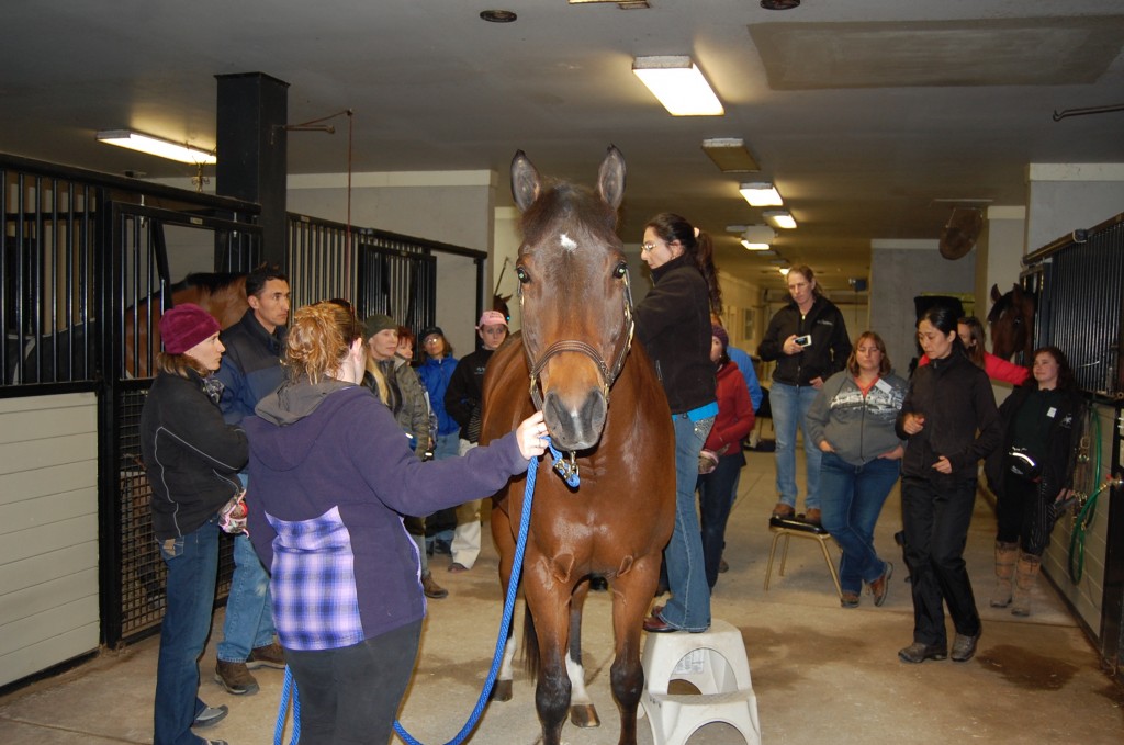 DSC_0020 Bev Teaching 2